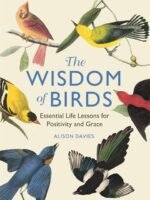 Wisdom of Birds